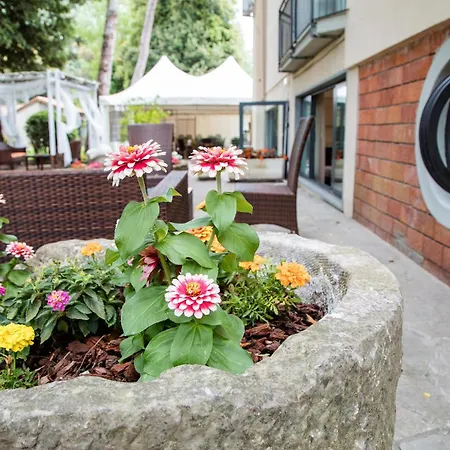 Bed & Breakfast La Tavernetta Dei Ronchi
